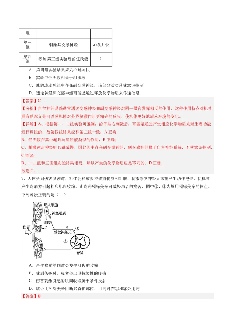 考点通关卷25神经调节（解析版）_2025年新高考资料_一轮复习_2025年高考生物一轮复习考点通关卷（新高考通用）_考点通关卷25神经调节-2025年高考生物一轮复习考点通关卷（新高考通用）