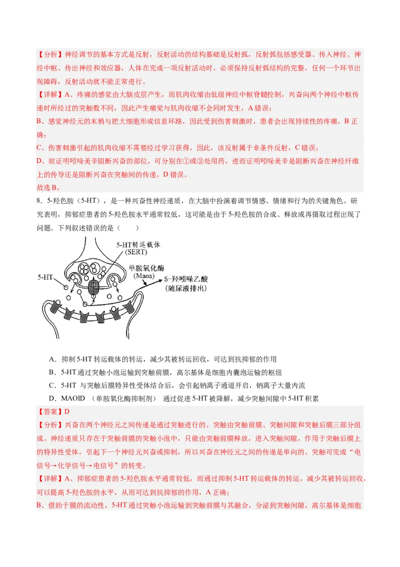 考点通关卷25神经调节（解析版）_2025年新高考资料_一轮复习_2025年高考生物一轮复习考点通关卷（新高考通用）_考点通关卷25神经调节-2025年高考生物一轮复习考点通关卷（新高考通用）