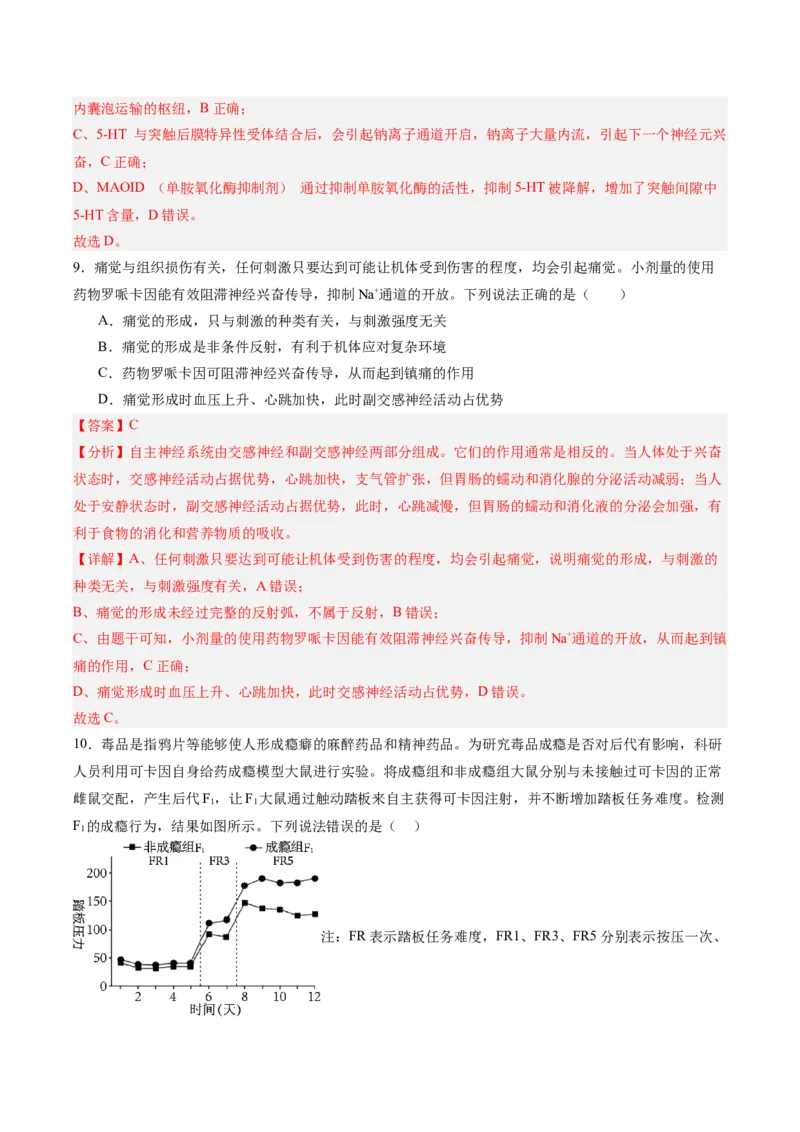 考点通关卷25神经调节（解析版）_2025年新高考资料_一轮复习_2025年高考生物一轮复习考点通关卷（新高考通用）_考点通关卷25神经调节-2025年高考生物一轮复习考点通关卷（新高考通用）