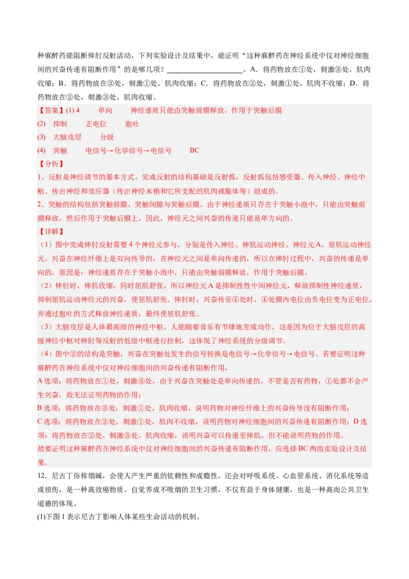 考点通关卷25神经调节（解析版）_2025年新高考资料_一轮复习_2025年高考生物一轮复习考点通关卷（新高考通用）_考点通关卷25神经调节-2025年高考生物一轮复习考点通关卷（新高考通用）