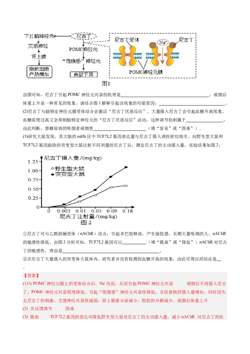 考点通关卷25神经调节（解析版）_2025年新高考资料_一轮复习_2025年高考生物一轮复习考点通关卷（新高考通用）_考点通关卷25神经调节-2025年高考生物一轮复习考点通关卷（新高考通用）