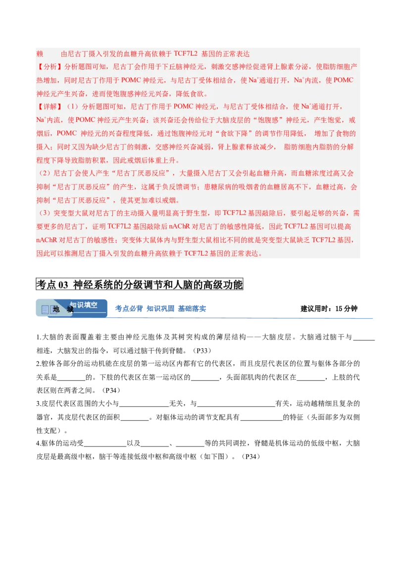 考点通关卷25神经调节（解析版）_2025年新高考资料_一轮复习_2025年高考生物一轮复习考点通关卷（新高考通用）_考点通关卷25神经调节-2025年高考生物一轮复习考点通关卷（新高考通用）