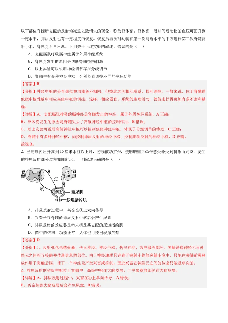 考点通关卷25神经调节（解析版）_2025年新高考资料_一轮复习_2025年高考生物一轮复习考点通关卷（新高考通用）_考点通关卷25神经调节-2025年高考生物一轮复习考点通关卷（新高考通用）