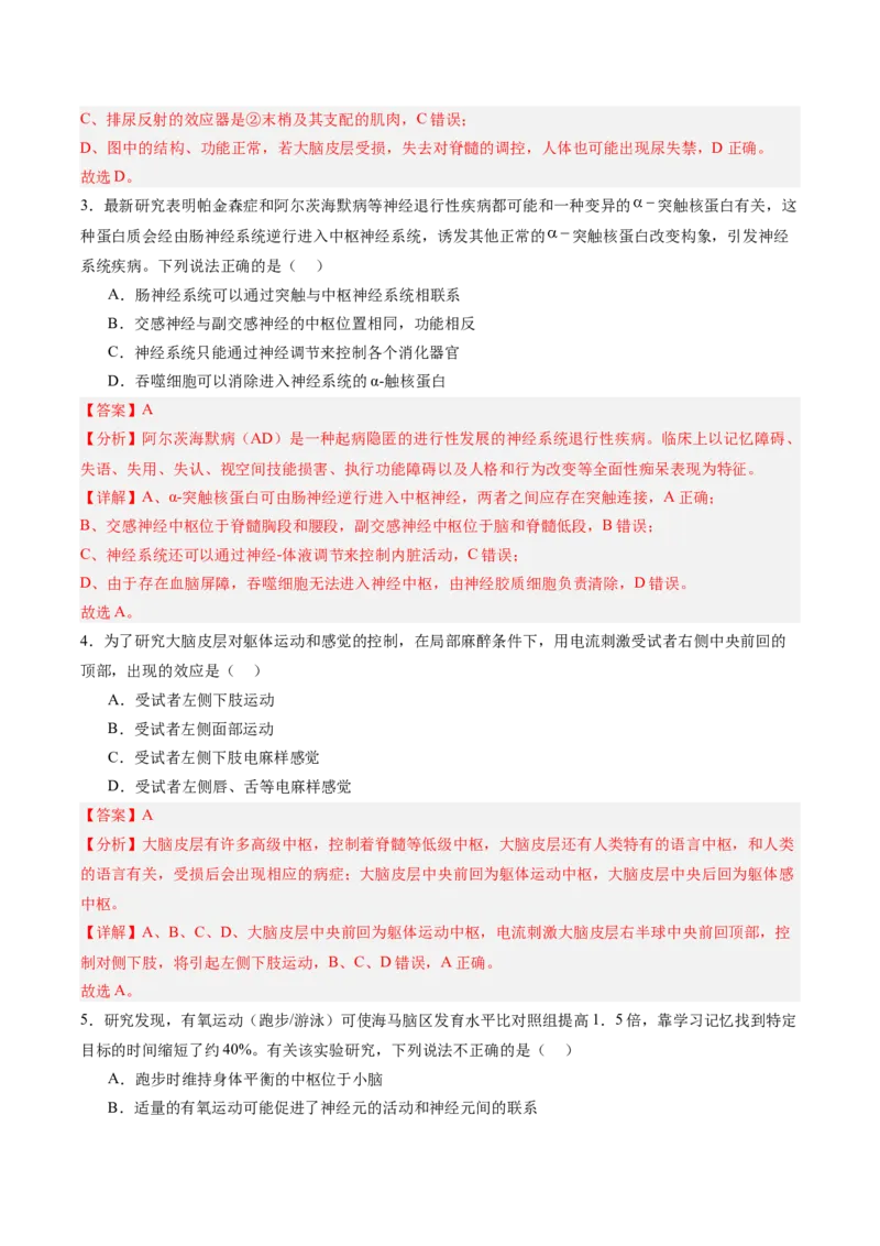 考点通关卷25神经调节（解析版）_2025年新高考资料_一轮复习_2025年高考生物一轮复习考点通关卷（新高考通用）_考点通关卷25神经调节-2025年高考生物一轮复习考点通关卷（新高考通用）