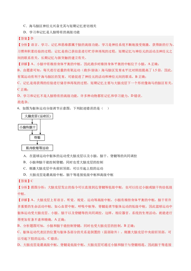 考点通关卷25神经调节（解析版）_2025年新高考资料_一轮复习_2025年高考生物一轮复习考点通关卷（新高考通用）_考点通关卷25神经调节-2025年高考生物一轮复习考点通关卷（新高考通用）