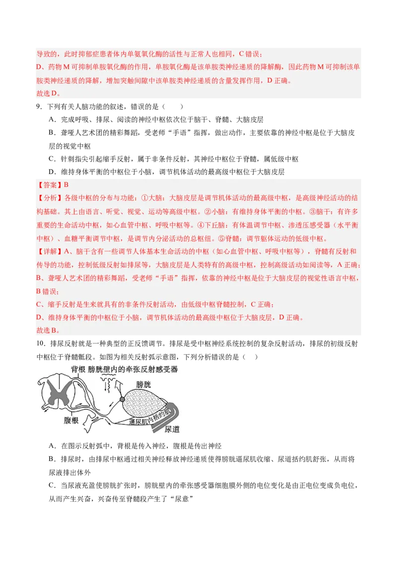 考点通关卷25神经调节（解析版）_2025年新高考资料_一轮复习_2025年高考生物一轮复习考点通关卷（新高考通用）_考点通关卷25神经调节-2025年高考生物一轮复习考点通关卷（新高考通用）