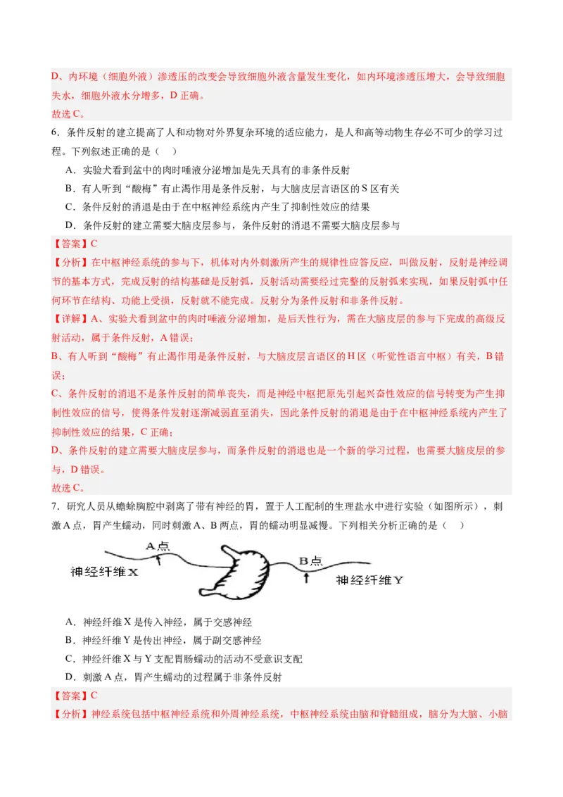 考点通关卷25神经调节（解析版）_2025年新高考资料_一轮复习_2025年高考生物一轮复习考点通关卷（新高考通用）_考点通关卷25神经调节-2025年高考生物一轮复习考点通关卷（新高考通用）