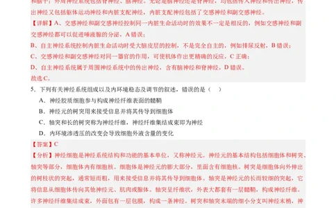 考点通关卷25神经调节（解析版）_2025年新高考资料_一轮复习_2025年高考生物一轮复习考点通关卷（新高考通用）_考点通关卷25神经调节-2025年高考生物一轮复习考点通关卷（新高考通用）