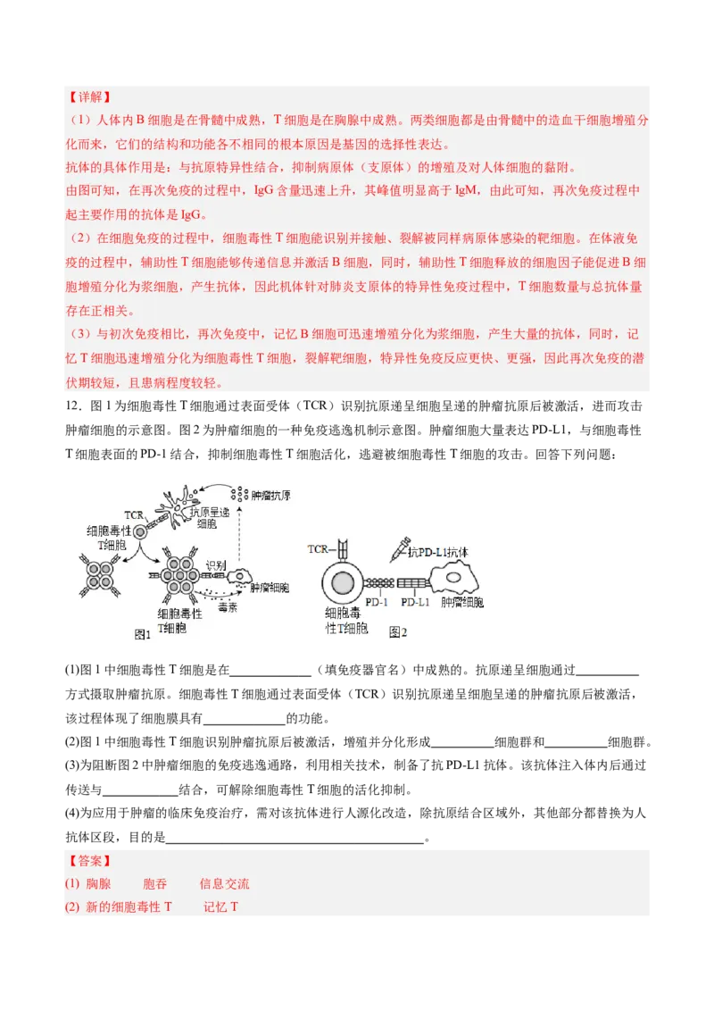 考点通关卷27免疫调节（解析版）_2025年新高考资料_一轮复习_2025年高考生物一轮复习考点通关卷（新高考通用）