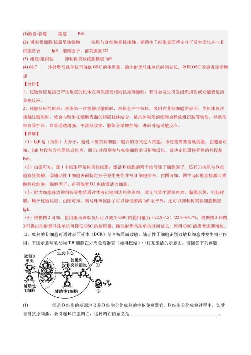 考点通关卷27免疫调节（解析版）_2025年新高考资料_一轮复习_2025年高考生物一轮复习考点通关卷（新高考通用）
