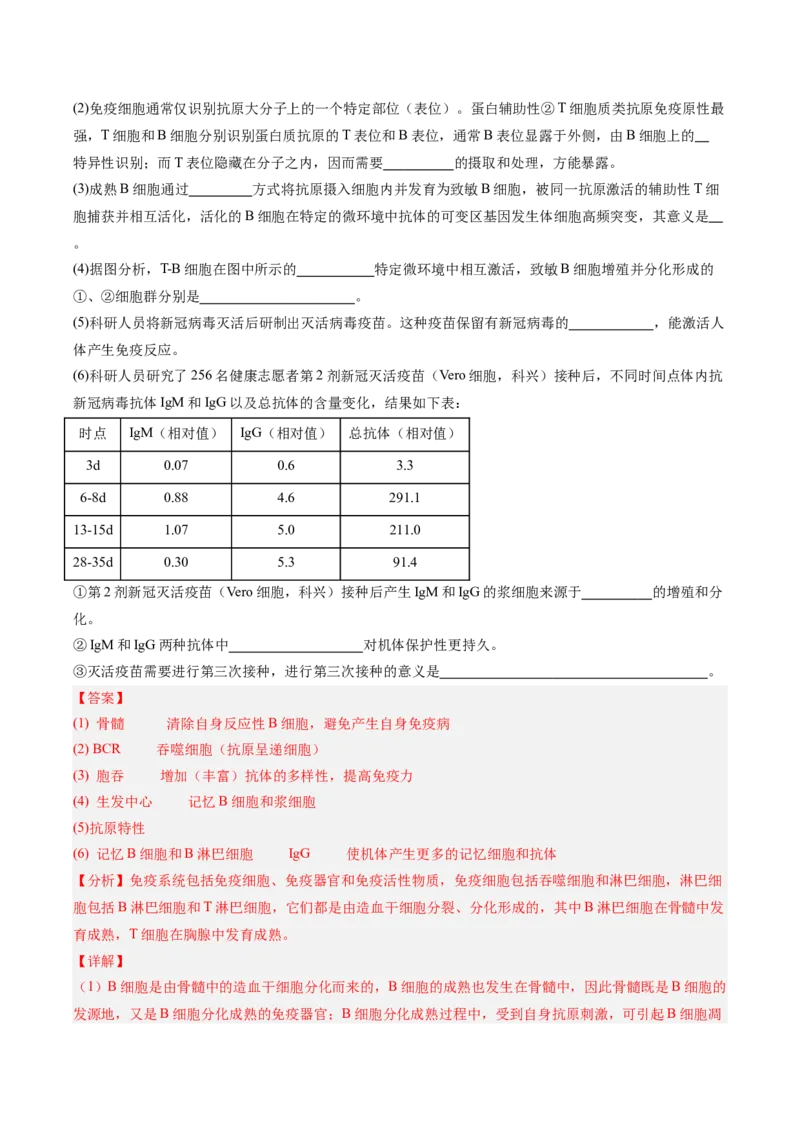 考点通关卷27免疫调节（解析版）_2025年新高考资料_一轮复习_2025年高考生物一轮复习考点通关卷（新高考通用）