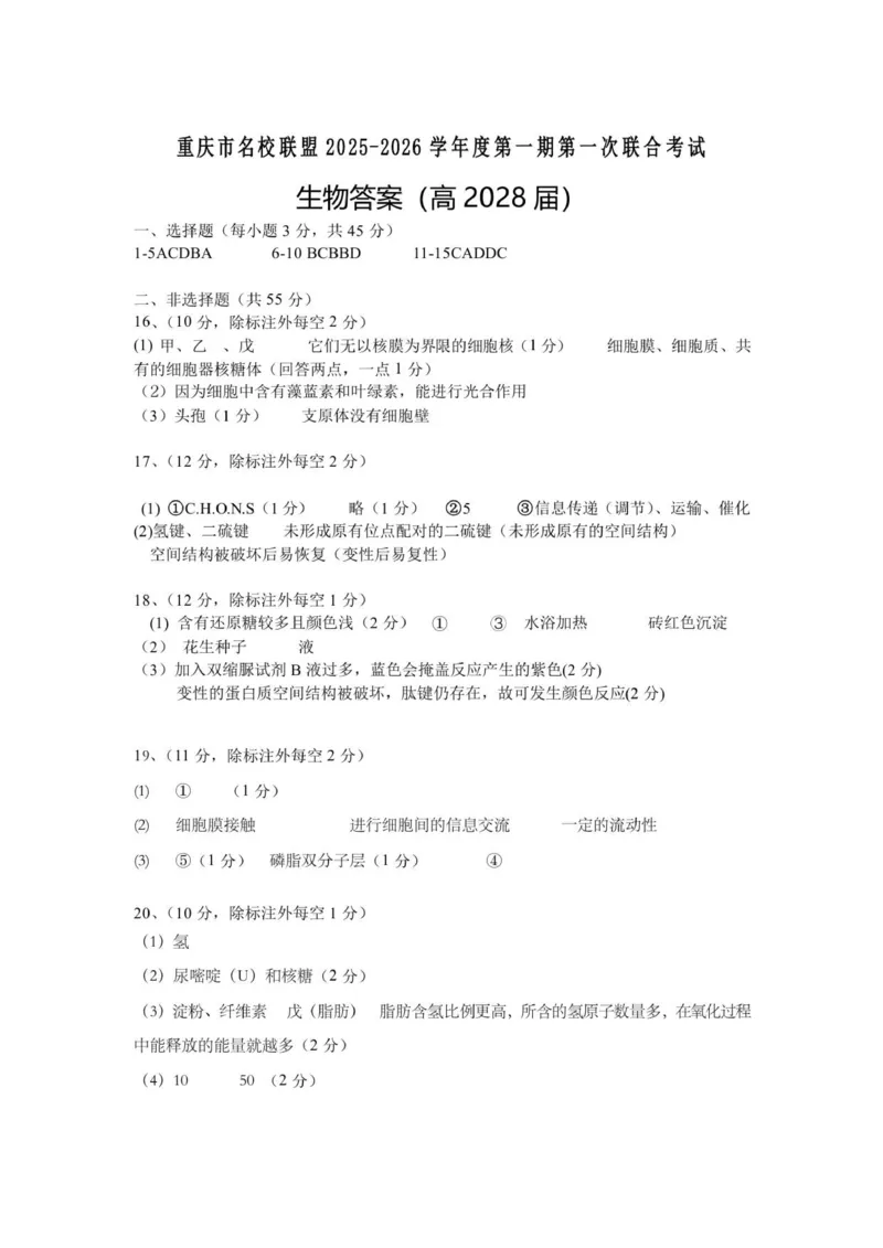 联盟生物试题答案_2025年12月高一试卷_251209重庆市名校联盟2025-2026学年高一上学期11月期中联考_重庆市名校联盟2025-2026学年高一上学期11月期中生物试题（PDF版，含答案）