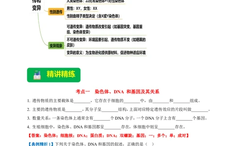 名师导航专题21生物的遗传和变异--2026年中考生物一轮复习学案（解析版）_6生物中考复习_2026年中考复习（更新中）_2026年中考生物一轮复习学案（原版卷+解析版）
