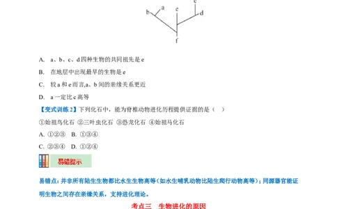 名师导航专题22生命的起源和生物的进化--2026年中考生物一轮复习学案（原卷版）_6生物中考复习_2026年中考复习（更新中）_2026年中考生物一轮复习学案（原版卷+解析版）