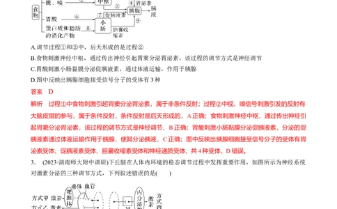 考点通关卷29动物生命活动调节的综合（解析版）_新高考复习资料_2024年新高考复习资料_一轮复习资料_完2024年高考生物一轮复习考点通关卷（新高考）