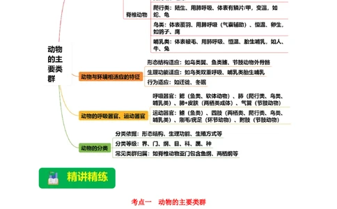 名师导航专题16动物的主要类群--2026年中考生物一轮复习学案（原卷版）_6生物中考复习_2026年中考复习（更新中）_2026年中考生物一轮复习学案（原版卷+解析版）