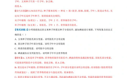 名师导航专题04生物圈中有哪些绿色植物--2026年中考生物一轮复习学案（解析版）_6生物中考复习_2026年中考复习（更新中）_2026年中考生物一轮复习学案（原版卷+解析版）