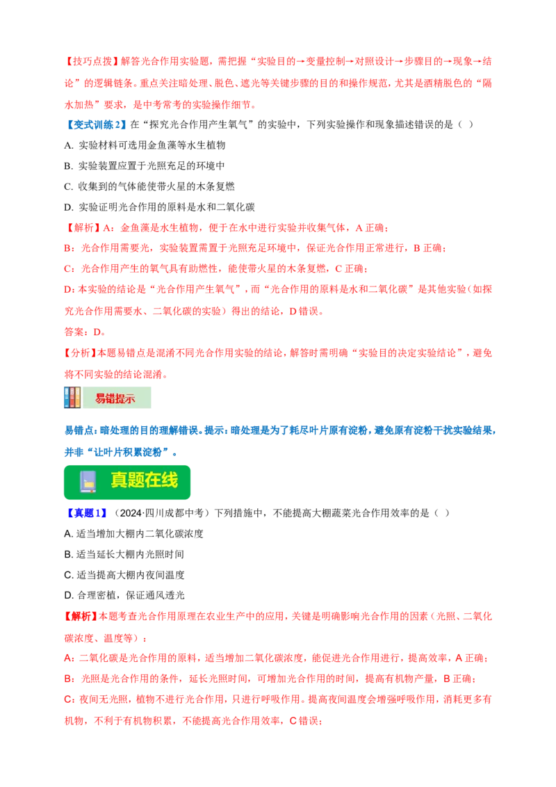 名师导航专题07绿色植物的光合作用--2026年中考生物一轮复习学案（解析版）_6生物中考复习_2026年中考复习（更新中）_2026年中考生物一轮复习学案（原版卷+解析版）