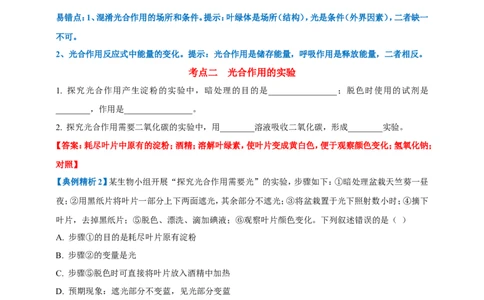 名师导航专题07绿色植物的光合作用--2026年中考生物一轮复习学案（解析版）_6生物中考复习_2026年中考复习（更新中）_2026年中考生物一轮复习学案（原版卷+解析版）