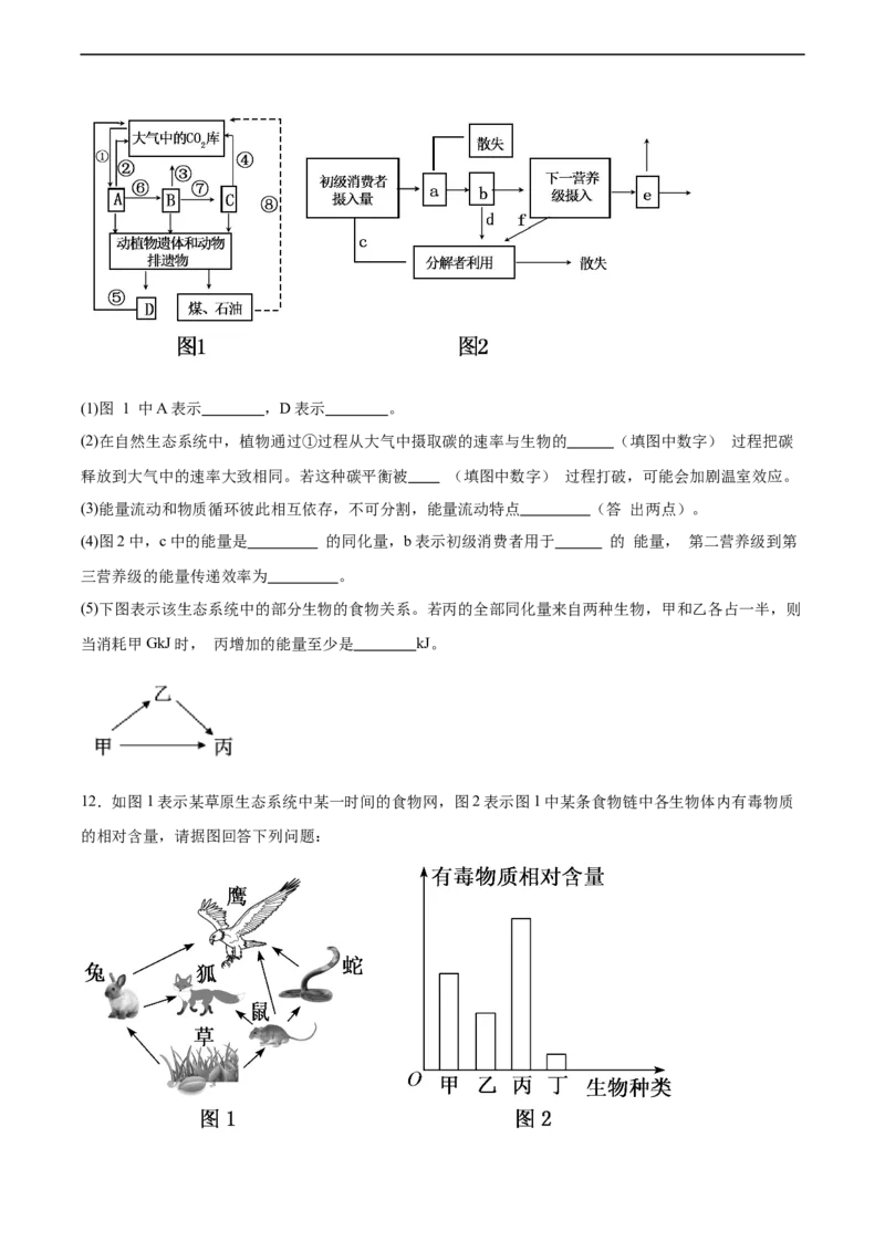 考点通关卷33生态系统的功能（原卷版）_新高考复习资料_2024年新高考复习资料_一轮复习资料_完2024年高考生物一轮复习考点通关卷（新高考）_考点通关卷33生态系统的功能