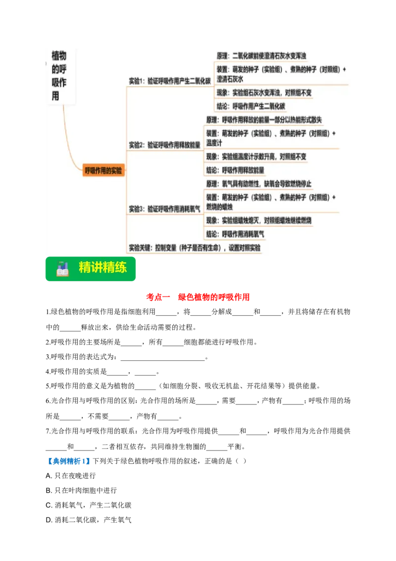 名师导航专题08绿色植物的呼吸作用--2026年中考生物一轮复习学案（原卷版）_6生物中考复习_2026年中考复习（更新中）_2026年中考生物一轮复习学案（原版卷+解析版）