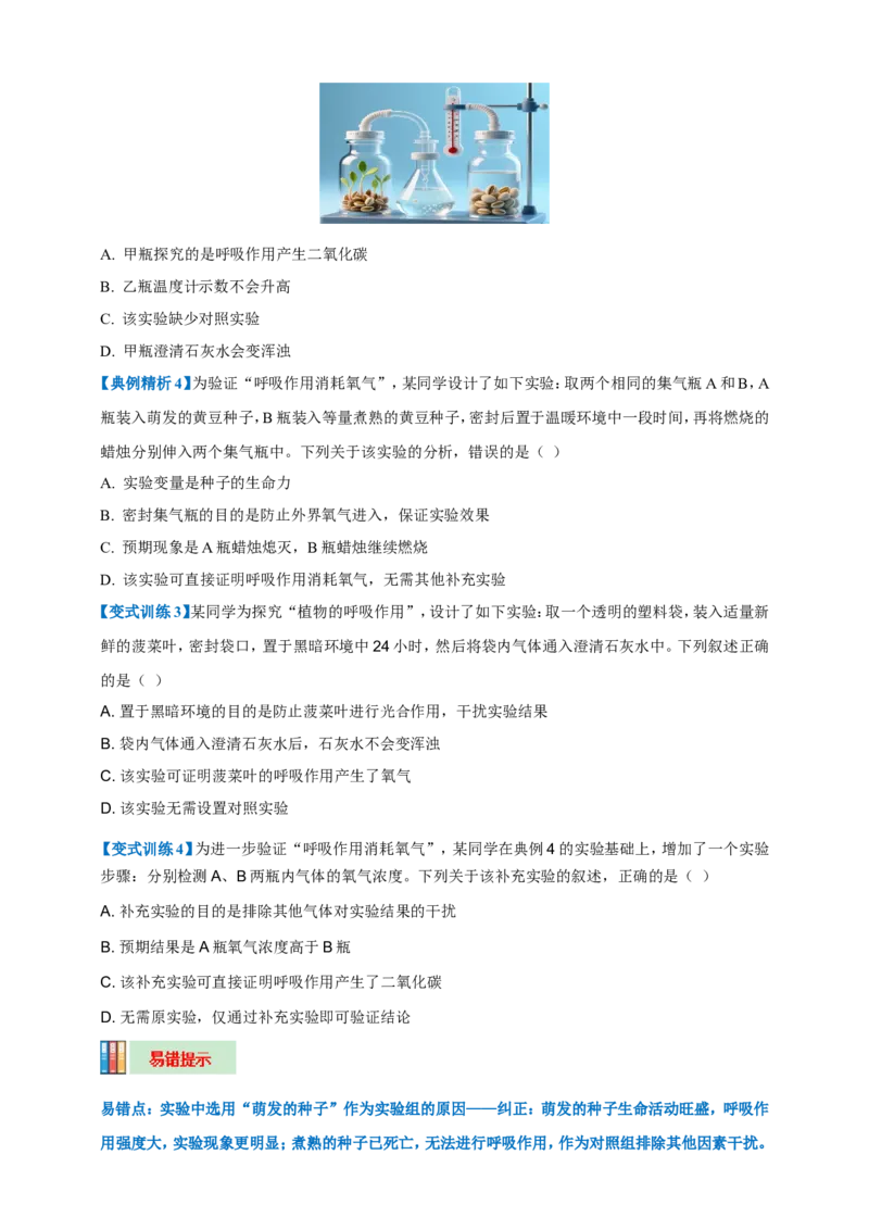 名师导航专题08绿色植物的呼吸作用--2026年中考生物一轮复习学案（原卷版）_6生物中考复习_2026年中考复习（更新中）_2026年中考生物一轮复习学案（原版卷+解析版）