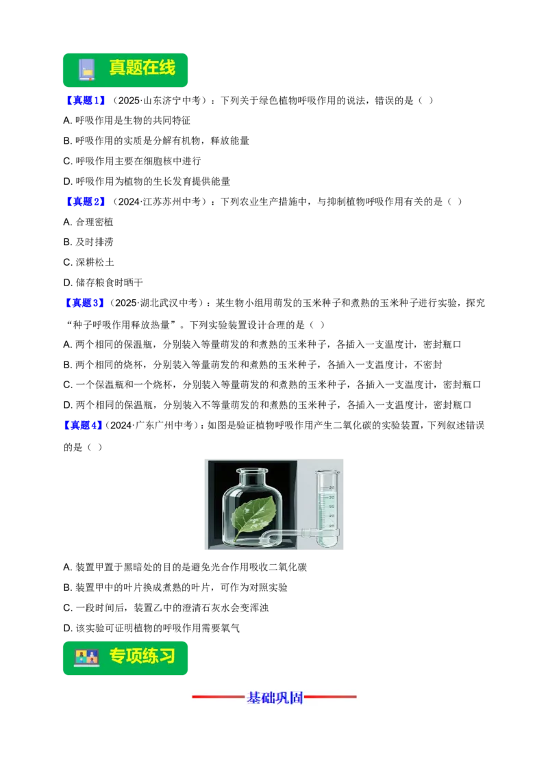 名师导航专题08绿色植物的呼吸作用--2026年中考生物一轮复习学案（原卷版）_6生物中考复习_2026年中考复习（更新中）_2026年中考生物一轮复习学案（原版卷+解析版）