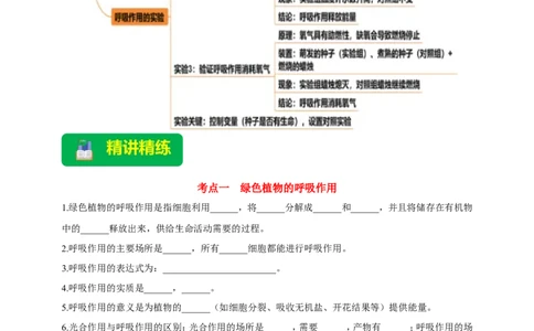 名师导航专题08绿色植物的呼吸作用--2026年中考生物一轮复习学案（原卷版）_6生物中考复习_2026年中考复习（更新中）_2026年中考生物一轮复习学案（原版卷+解析版）