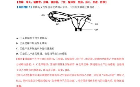 名师导航专题09人的由来--2026年中考生物一轮复习学案（解析版）_6生物中考复习_2026年中考复习（更新中）_2026年中考生物一轮复习学案（原版卷+解析版）