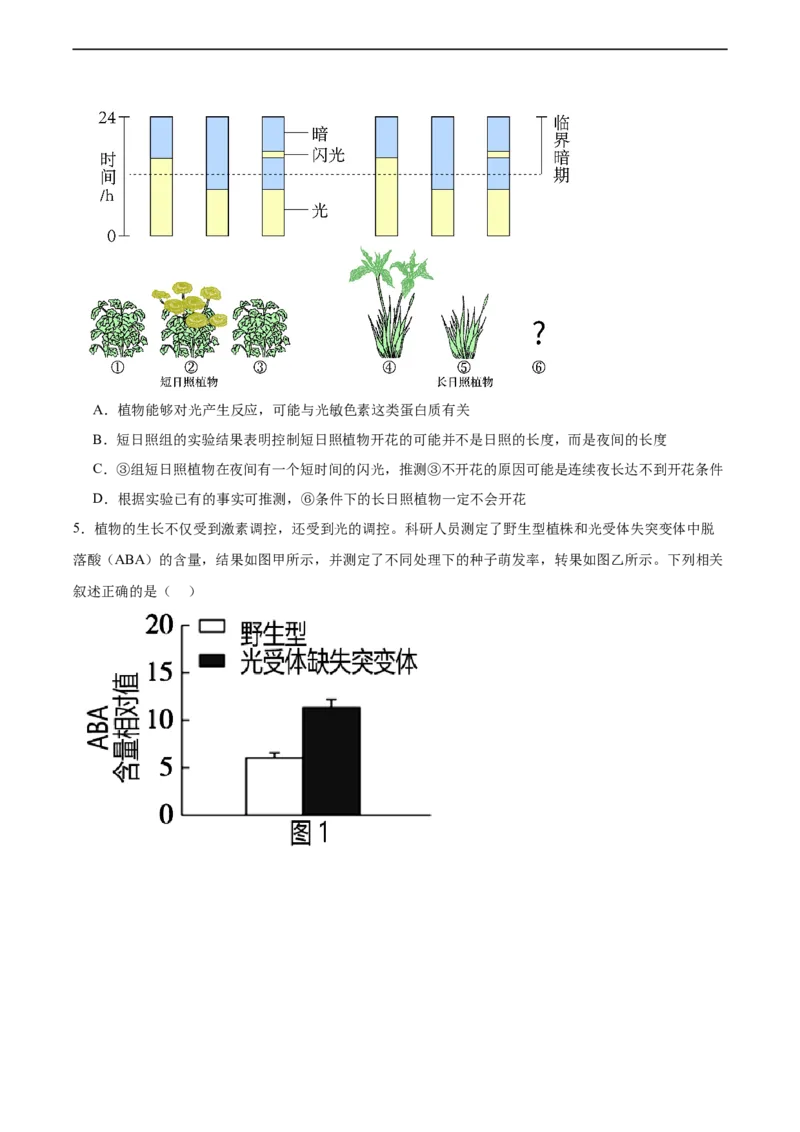 考点通关卷30植物生命活动调节（原卷版）_新高考复习资料_2024年新高考复习资料_一轮复习资料_完2024年高考生物一轮复习考点通关卷（新高考）_考点通关卷30植物生命活动调节