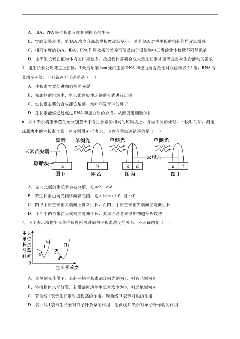 考点通关卷30植物生命活动调节（原卷版）_新高考复习资料_2024年新高考复习资料_一轮复习资料_完2024年高考生物一轮复习考点通关卷（新高考）_考点通关卷30植物生命活动调节