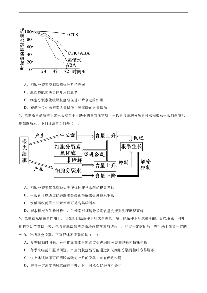 考点通关卷30植物生命活动调节（原卷版）_新高考复习资料_2024年新高考复习资料_一轮复习资料_完2024年高考生物一轮复习考点通关卷（新高考）_考点通关卷30植物生命活动调节