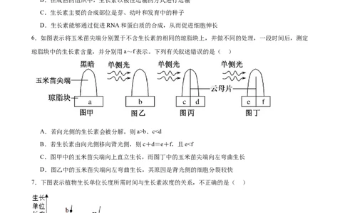 考点通关卷30植物生命活动调节（原卷版）_新高考复习资料_2024年新高考复习资料_一轮复习资料_完2024年高考生物一轮复习考点通关卷（新高考）_考点通关卷30植物生命活动调节