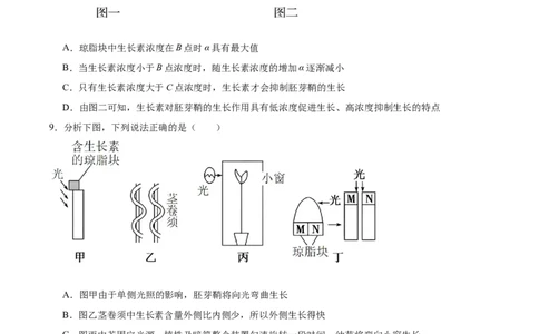 考点通关卷30植物生命活动调节（原卷版）_新高考复习资料_2024年新高考复习资料_一轮复习资料_完2024年高考生物一轮复习考点通关卷（新高考）_考点通关卷30植物生命活动调节