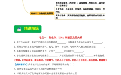 名师导航专题22生命的起源和生物的进化--2026年中考生物一轮复习学案（解析版）_6生物中考复习_2026年中考复习（更新中）_2026年中考生物一轮复习学案（原版卷+解析版）