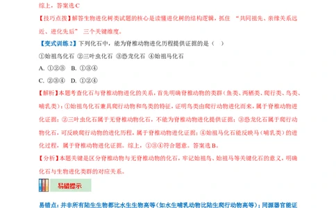 名师导航专题22生命的起源和生物的进化--2026年中考生物一轮复习学案（解析版）_6生物中考复习_2026年中考复习（更新中）_2026年中考生物一轮复习学案（原版卷+解析版）