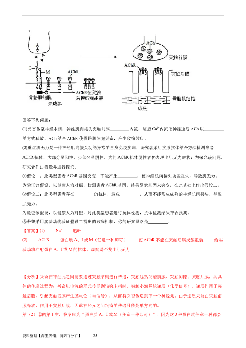 考点通关卷28免疫调节（解析版）_新高考复习资料_2024年新高考复习资料_一轮复习资料_完2024年高考生物一轮复习考点通关卷（新高考）_考点通关卷28免疫调节