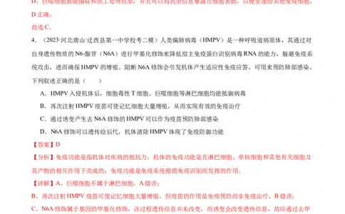 考点通关卷28免疫调节（解析版）_新高考复习资料_2024年新高考复习资料_一轮复习资料_完2024年高考生物一轮复习考点通关卷（新高考）_考点通关卷28免疫调节