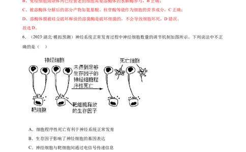 考点通关卷28免疫调节（解析版）_新高考复习资料_2024年新高考复习资料_一轮复习资料_完2024年高考生物一轮复习考点通关卷（新高考）_考点通关卷28免疫调节