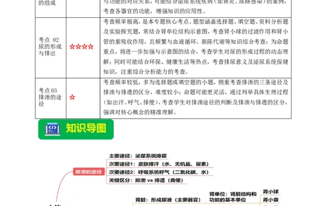 名师导航专题13人体内废物的排出--2026年中考生物一轮复习学案（解析版）_6生物中考复习_2026年中考复习（更新中）_2026年中考生物一轮复习学案（原版卷+解析版）