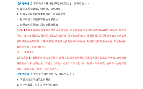 名师导航专题13人体内废物的排出--2026年中考生物一轮复习学案（解析版）_6生物中考复习_2026年中考复习（更新中）_2026年中考生物一轮复习学案（原版卷+解析版）