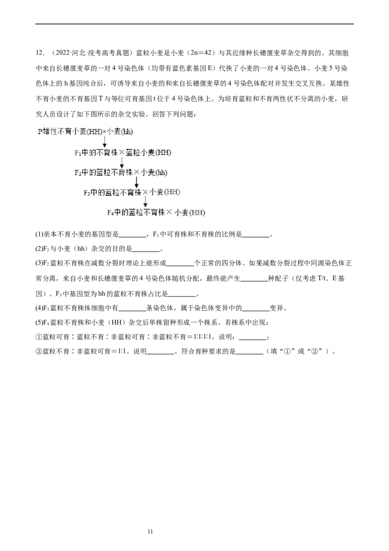 考点通关卷23生物的变异（原卷版）_新高考复习资料_2024年新高考复习资料_一轮复习资料_完2024年高考生物一轮复习考点通关卷（新高考）_考点通关卷23生物的变异