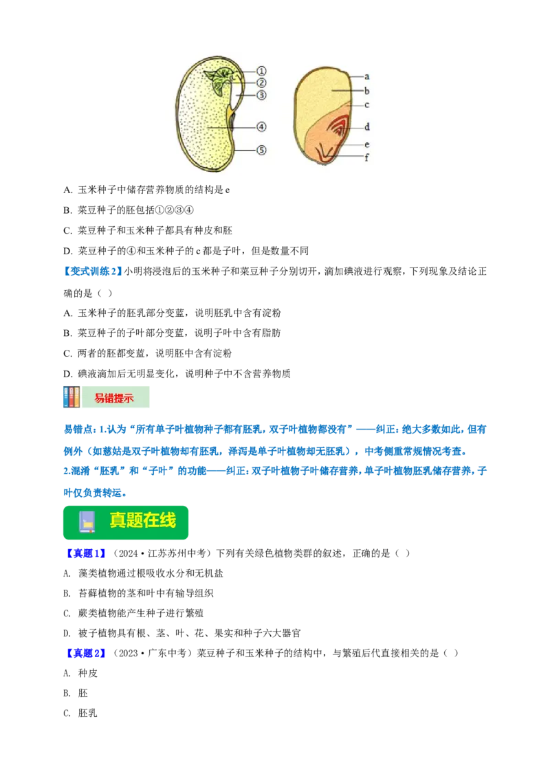 名师导航专题04生物圈中有哪些绿色植物--2026年中考生物一轮复习学案（原卷版）_6生物中考复习_2026年中考复习（更新中）_2026年中考生物一轮复习学案（原版卷+解析版）