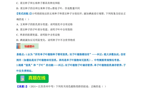 名师导航专题04生物圈中有哪些绿色植物--2026年中考生物一轮复习学案（原卷版）_6生物中考复习_2026年中考复习（更新中）_2026年中考生物一轮复习学案（原版卷+解析版）
