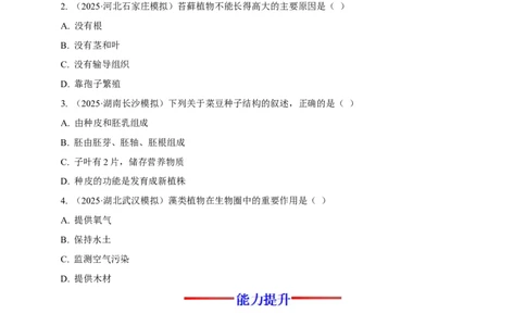 名师导航专题04生物圈中有哪些绿色植物--2026年中考生物一轮复习学案（原卷版）_6生物中考复习_2026年中考复习（更新中）_2026年中考生物一轮复习学案（原版卷+解析版）