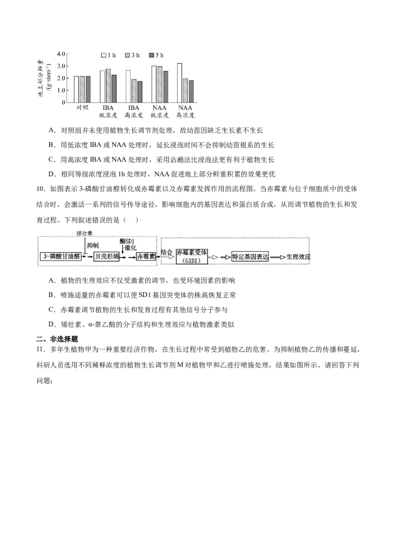 考点通关卷29植物生命活动的调节（原卷版）_2025年新高考资料_一轮复习_2025年高考生物一轮复习考点通关卷（新高考通用）