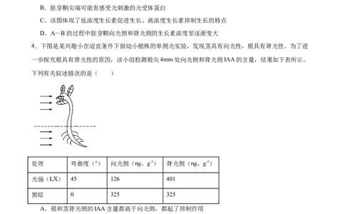 考点通关卷29植物生命活动的调节（原卷版）_2025年新高考资料_一轮复习_2025年高考生物一轮复习考点通关卷（新高考通用）