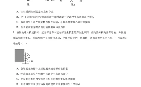 考点通关卷29植物生命活动的调节（原卷版）_2025年新高考资料_一轮复习_2025年高考生物一轮复习考点通关卷（新高考通用）
