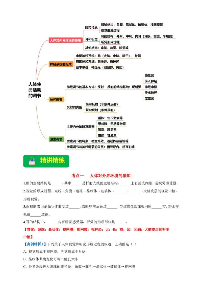 名师导航专题14人体生命活动的调节--2026年中考生物一轮复习学案（解析版）_6生物中考复习_2026年中考复习（更新中）_2026年中考生物一轮复习学案（原版卷+解析版）