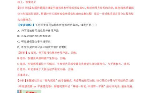 名师导航专题14人体生命活动的调节--2026年中考生物一轮复习学案（解析版）_6生物中考复习_2026年中考复习（更新中）_2026年中考生物一轮复习学案（原版卷+解析版）